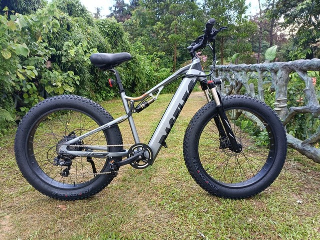 Electric Fat Bike for Adult